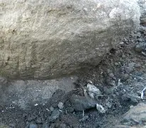 j9九会首页 -dojki学生版